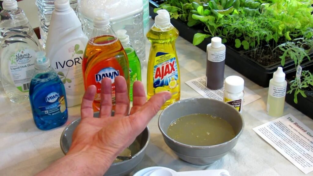 Wash the leaves with soapy water | leave cleaning | allaroundkitchens.com