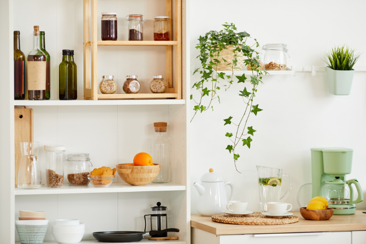 Add Some Greenery: Decorations for Kitchen Shelving