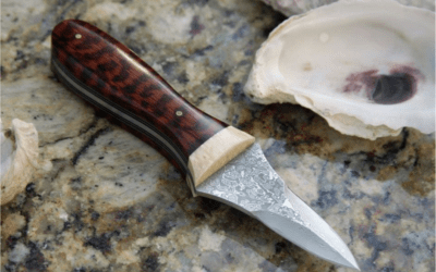 Top-rated Oyster Knives for Your Kitchen