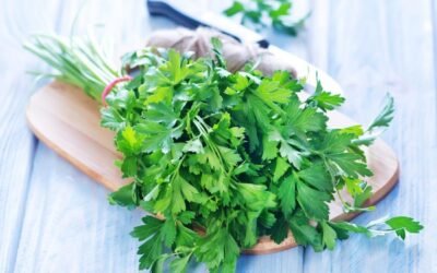 5 Best Herbs for Your Kitchen Garden