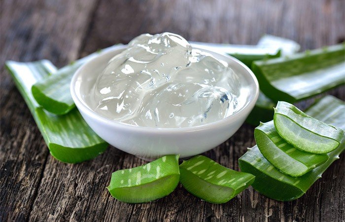 7 Houseplants that help to stop Bleeding during Cutting in Kitchen
